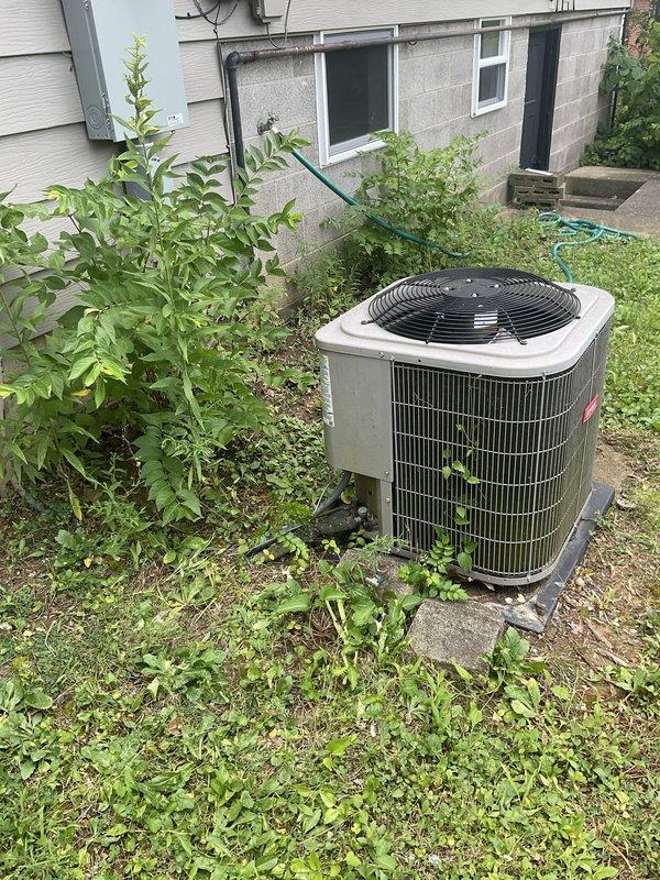 Conducted comprehensive evaluation of residential HVAC system with failed compressor in outdoor condenser unit. Assessed both exterior air conditioning equipment and interior Bryant furnace system in basement mechanical room to provide complete replacement estimate. Documented existing equipment condition, noting weathered outdoor unit with vegetation encroachment and complete system specifications for replacement recommendations, as homeowners were prepared to proceed with full system replacement rather than compressor repair.