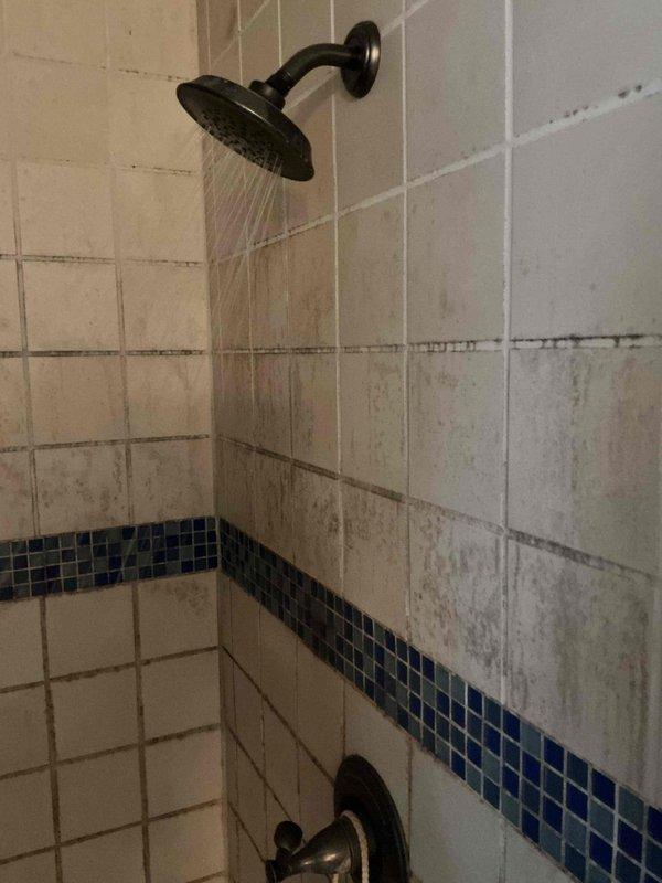 Completed monthly plumbing inspection for prepaid maintenance membership. Performed comprehensive evaluation of bathroom fixtures including sink faucet operation, shower valve functionality, and water flow testing. Documented current condition of plumbing fixtures with photographic evidence showing proper water pressure and drainage performance, while noting tile grout and fixture surfaces that may require future attention for optimal maintenance.