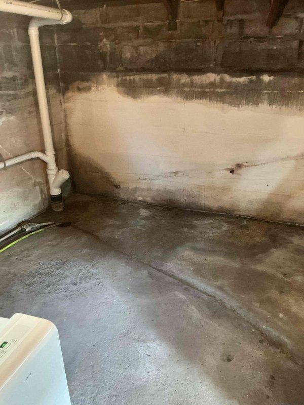 Conducted on-site assessment for basement bathroom and kitchenette installation in unfinished basement space with existing laundry facilities. Documented current conditions including exposed concrete block and brick walls with extensive moisture damage, active water staining, and damp concrete floor requiring remediation prior to fixture installation. Evaluated existing plumbing infrastructure including white PVC drainage system and washing machine connections to determine routing for new bathroom and kitchenette supply and waste lines. Identified need for moisture mitigation, proper waterproofing, and potential foundation sealing before proceeding with fixture installation to ensure code compliance and prevent future water damage to new installations.