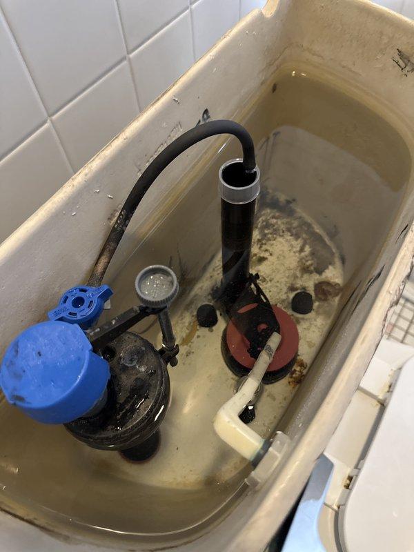 Responded to recurring leak from upstairs toilet causing water intrusion into basement area. Inspected toilet tank components and identified deteriorated fill valve assembly and compromised flapper valve as primary sources of leak. Tank interior showed significant mineral deposits and staining consistent with age and previous water quality issues. Fill valve exhibited worn seals and improper shutoff function, while flapper demonstrated loss of elasticity and incomplete sealing at flush valve seat. Documented existing conditions with photographs showing internal tank components, including corroded hardware and aged plumbing fixtures installed during 2016 renovation. Provided detailed estimate for replacement of fill valve assembly, flapper valve, and associated hardware to resolve leak and prevent further water damage to lower level. Recommended complete tank component replacement given age of existing parts and history of recurring issues in this 1938-era home.