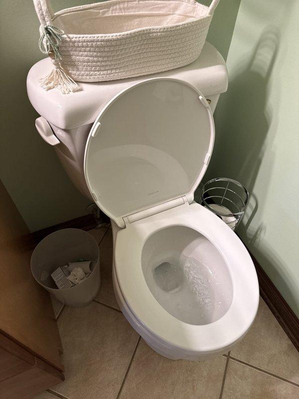 Completed monthly prepaid plumbing inspection of residential property. Evaluated existing plumbing fixtures including toilet and bathroom sink with dual-handle faucet, both in proper working condition. Discussed water softener options with homeowner, providing technical information on salt-based versus salt-free water conditioning systems to support their decision-making process for future installation.
