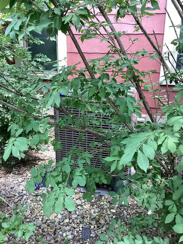 Completed comprehensive cooling maintenance on two HVAC systems under active CCC basic maintenance agreement. Performed standard inspection protocol on both outdoor condenser units and indoor air handling components, including visual assessment of condenser coils, refrigerant lines, and electrical connections. Documented pre-existing conditions with photographs showing outdoor unit positioned in gravel bed with surrounding vegetation and heavily soiled filters requiring customer replacement. Customer advised that 16x25x4 filters are not included in basic service plan and should be purchased separately for optimal system performance.