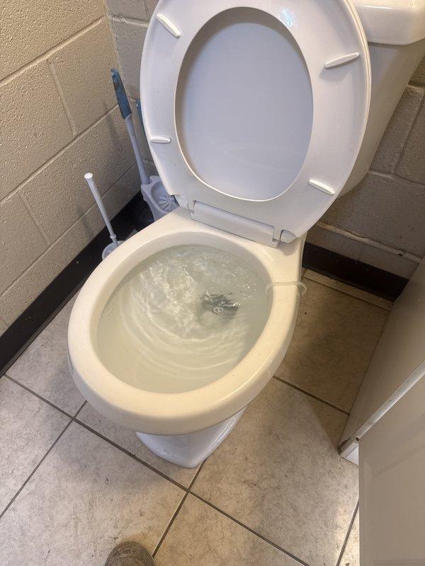 Responded to commercial office bathroom experiencing water seepage through flooring for approximately three weeks. Upon inspection, identified multiple areas of water infiltration causing visible staining and discoloration across tile flooring. Investigated toilet fixture and surrounding plumbing connections for potential leak sources. Assessed floor drain system and verified proper drainage function. Documented existing water damage patterns and active moisture presence throughout bathroom space. Recommended further investigation of subfloor conditions and potential underground plumbing line issues to determine root cause of chronic water intrusion.