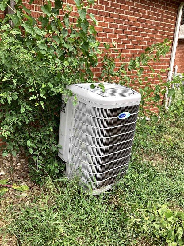 Completed monthly CCHP cooling maintenance including replacement of 20x20x4 air filter. Inspected outdoor condenser units at both locations, verified proper operation, and documented equipment condition with photographs. Noted vegetation growth around units but all systems operating within normal parameters.