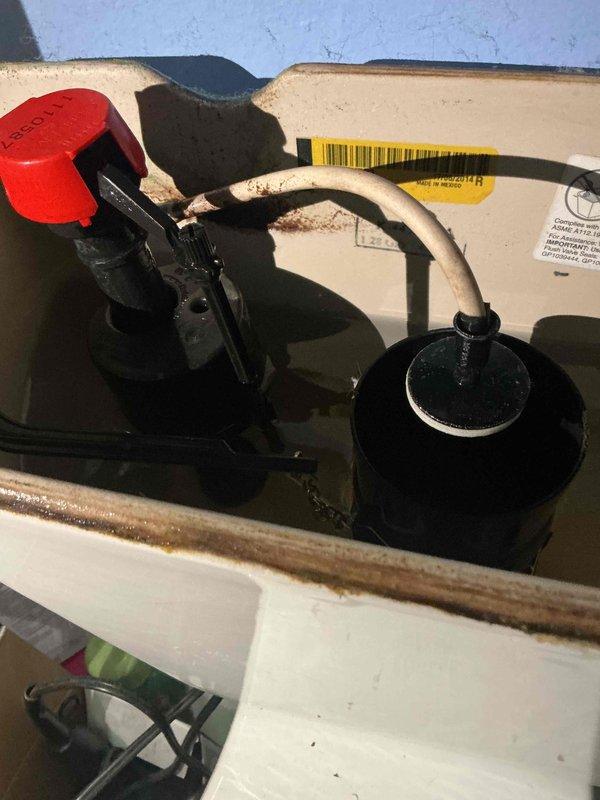 Completed monthly plumbing inspection for membership service. Inspected toilet tank components and identified moderate mineral deposits and rust staining along interior tank walls with discolored water present; fill valve, flush valve assembly, and flapper mechanism all operational. Inspected exterior drainage system and documented concrete drain pipe with algae growth on exterior rim and weathering consistent with outdoor exposure; pipe interior shows normal aging with no structural defects observed.