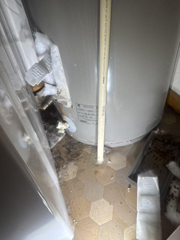Responded to service call for refrigerator water line inspection and water heater evaluation. Performed visual assessment of water heater unit, examining condition of tank, connections, and surrounding plumbing components. Inspected refrigerator water supply line for proper operation and potential issues. Discussed water heater maintenance requirements and provided recommendations for ongoing system care.