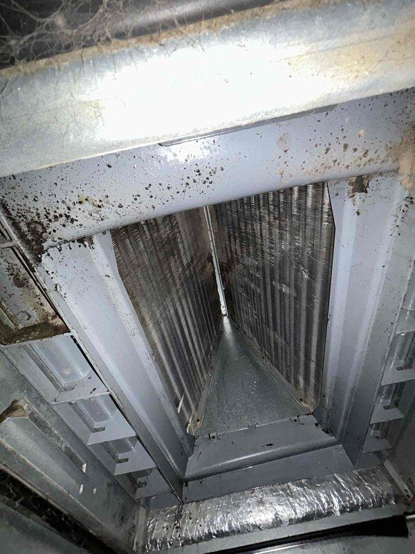 Responded to service call for air conditioning system inadequately cooling residence, with interior temperatures reaching 80 degrees and auxiliary heat running excessively for over three hours. Upon inspection of attic-mounted air handler unit, discovered severely contaminated evaporator coil with heavy accumulation of dust, debris, and biological growth throughout fin surfaces. Coil exhibited significant blockage with dark streaking patterns and mold buildup restricting airflow and reducing heat transfer efficiency. Documented condition with photos showing V-shaped coil configuration completely compromised by contamination. Surrounding mechanical space showed evidence of poor air quality with spider webs, mold spotting on structural components, and minimal maintenance history. Recommended thorough evaporator coil cleaning to restore proper airflow and system capacity, along with evaluation of auxiliary heat malfunction to prevent unnecessary operation.