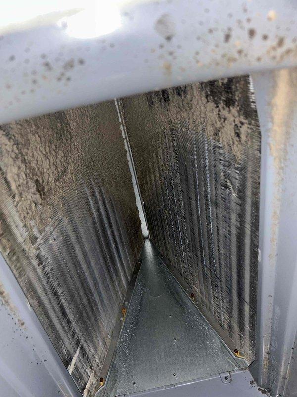Responded to service call for air conditioning system inadequately cooling residence, with interior temperatures reaching 80 degrees and auxiliary heat running excessively for over three hours. Upon inspection of attic-mounted air handler unit, discovered severely contaminated evaporator coil with heavy accumulation of dust, debris, and biological growth throughout fin surfaces. Coil exhibited significant blockage with dark streaking patterns and mold buildup restricting airflow and reducing heat transfer efficiency. Documented condition with photos showing V-shaped coil configuration completely compromised by contamination. Surrounding mechanical space showed evidence of poor air quality with spider webs, mold spotting on structural components, and minimal maintenance history. Recommended thorough evaporator coil cleaning to restore proper airflow and system capacity, along with evaluation of auxiliary heat malfunction to prevent unnecessary operation.
