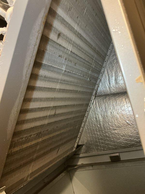 Completed annual cooling maintenance on two HVAC systems. Performed comprehensive inspections of both air handler units, including examination of evaporator coils, blower assemblies, and air filtration systems. Documented equipment condition through photographic records showing filter media with dust accumulation and blower wheel components. All systems operational upon completion of routine preventive maintenance procedures.