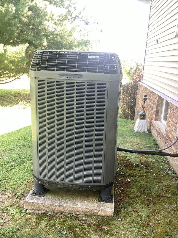 Replaced defective primary circuit board and ECM blower motor on residential gas furnace. System tested and verified operational with proper airflow and all safety controls functioning correctly.