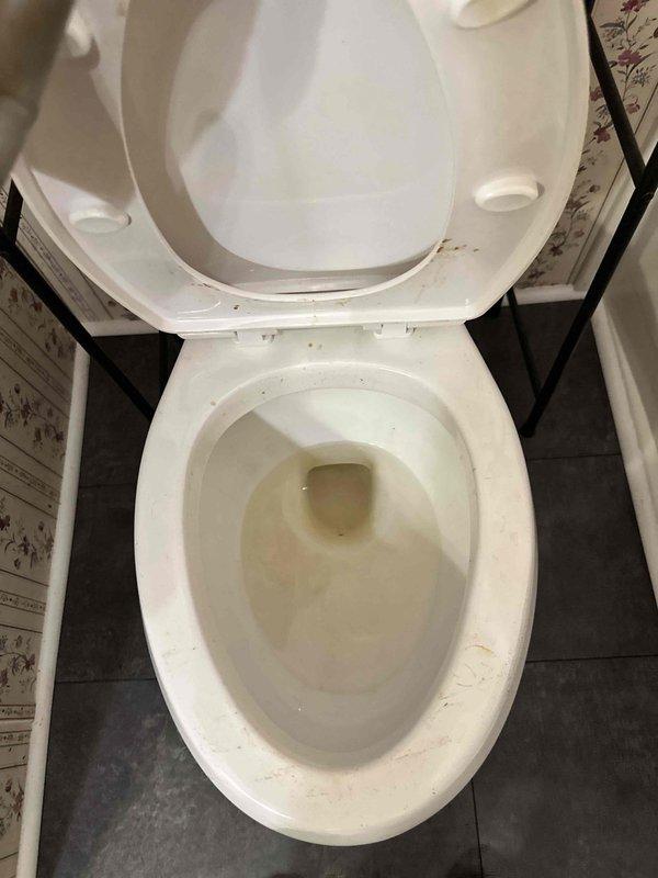 Responded to emergency call for main drain backup affecting all plumbing fixtures throughout the residence. Upon arrival, confirmed complete drainage system blockage with standing water present in toilet and other fixtures showing visible signs of sewage backup and discoloration. Located and accessed main drain cleanout, deployed cable auger equipment to clear obstruction in primary sewer line. Successfully removed blockage, restored full drainage capacity, and verified proper flow throughout the system. All fixtures tested and confirmed operational upon completion.