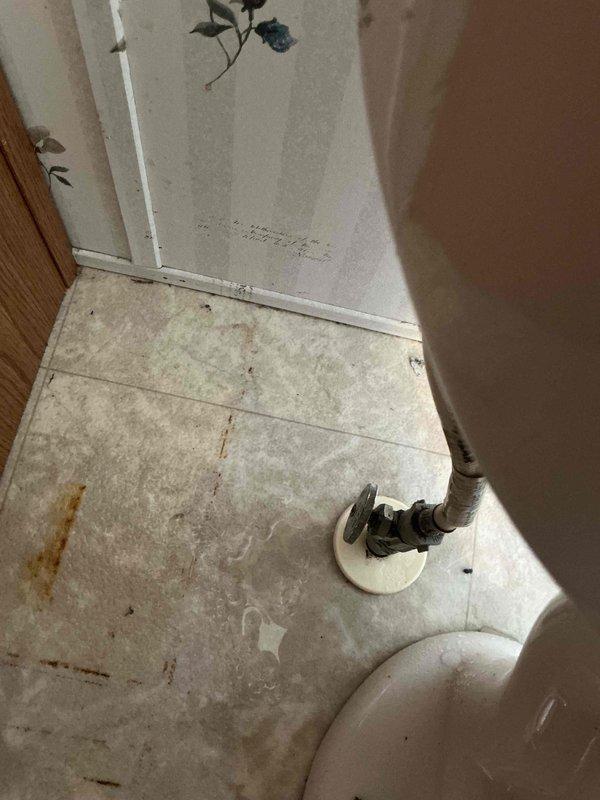 Responded to emergency call for bathroom flooding caused by failed toilet supply line. Upon arrival, found water supply shut off to entire house and significant water damage to bathroom floor with visible staining and saturation of linoleum flooring. Inspected toilet connections and identified deteriorated flexible braided supply line as source of leak. Replaced faulty supply line with new braided stainless steel connector, installed proper shutoff valve, and tested all connections for leaks. Restored water service to house and verified proper operation of toilet fill valve and supply system with no further leakage detected.