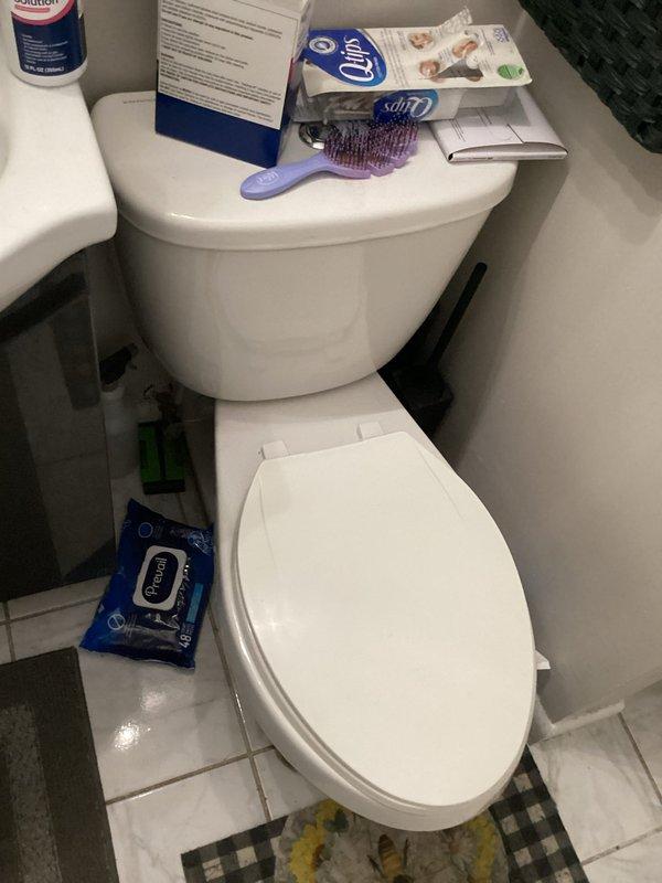 Completed annual plumbing inspection of residential property, examining all accessible fixtures and components. Inspected toilet operation, tank mechanisms, and water supply connections, confirming proper function and absence of leaks. Evaluated dishwasher installation, water supply lines, and drain connections to ensure code compliance and proper operation.