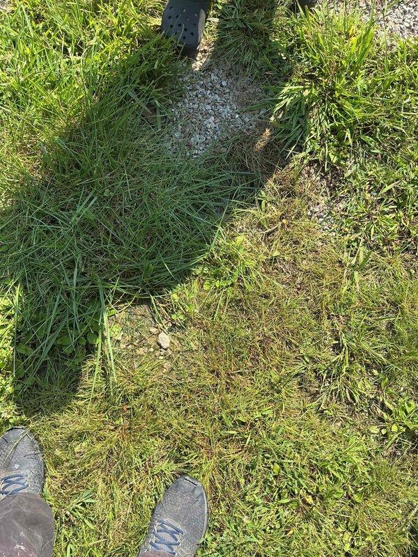 Responded to a water leak emergency where a pipe connected to the city water main was actively leaking and causing water to flow into the driveway. Inspected the affected area, documented the leak location and surrounding ground conditions, and assessed the extent of water damage to the property.