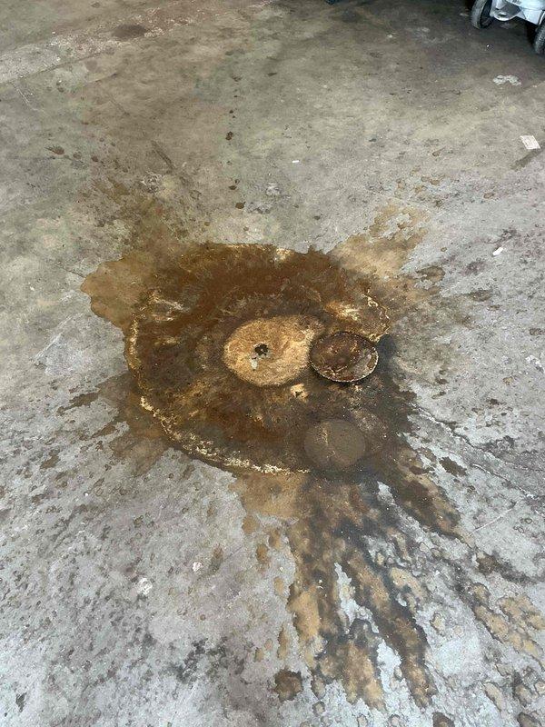 Responded to commercial retail facility for clogged floor drain in receiving room with standing water creating safety hazard near entrance. Upon arrival, found floor drain backing up with stagnant water pooling on concrete surface. Removed drain grate and caps to inspect drain assembly, documented extensive water damage and staining on surrounding floor area, and assessed blockage severity in main drain line.