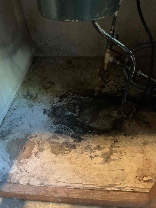 Conducted on-site assessment for garbage disposal replacement under kitchen sink. Inspected existing installation including mounting hardware, electrical connections, and PVC drain line configuration. Evaluated cabinet space clearance, trap assembly, and discharge plumbing to determine compatibility with new unit. Documented current disposal unit condition and surrounding plumbing infrastructure. Provided estimate for removal of existing disposal and installation of new unit with proper electrical and drain connections.
