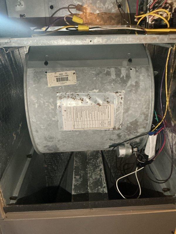 Completed basic monthly maintenance on two systems: cooling unit and boiler. Performed standard inspection procedures, checked thermostat operation displaying 69.6°F, and inspected air handler components including blower assembly, drain pan, and electrical connections. All systems found operating within normal parameters. Customer to provide 20x20x4 filter separately as not included in this service visit.