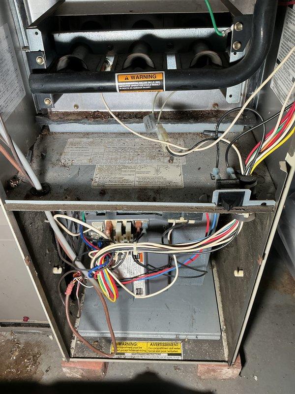 # HVAC Maintenance - Heating System Service

Completed annual basic heating maintenance visit on residential forced-air furnace system. Performed comprehensive inspection of all major components including heat exchanger, blower assembly, and refrigeration coils. 

Upon inspection, identified significant corrosion and oxidation on copper coil assembly, with heavy rust formation on mounting hardware and surrounding metal panels. Copper tubing exhibited characteristic orange-brown rust coloration along with greenish patina indicative of extended moisture exposure. Heat exchanger showed normal operational wear with dust accumulation present throughout cabinet interior.

Inspected electrical connections and wiring throughout furnace cabinet, verifying all wire bundles and terminal connections for proper seating and condition. Examined blower compartment area and documented dust accumulation on horizontal surfaces and component housings. Verified all safety labels and manufacturer documentat