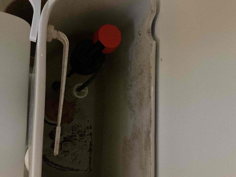 Completed scheduled plumbing inspection and documented existing conditions of plumbing fixtures and systems. Customer reported ongoing faucet leak requiring additional attention and repair assessment for future service.