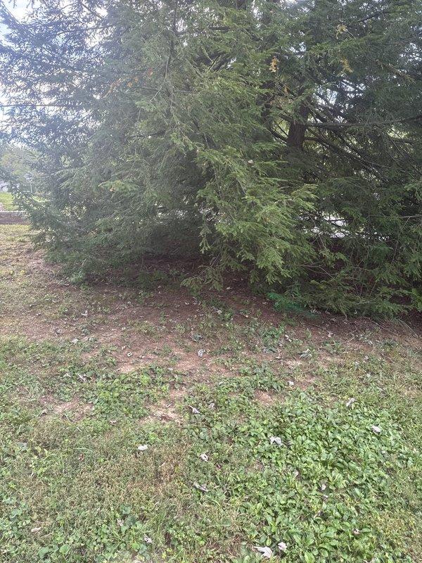 Responded to a follow-up call for recurring sewer line blockage issues. Upon arrival, conducted exterior inspection of the sewer line access points and surrounding drainage areas. Documented current site conditions showing disturbed ground areas near building exterior and sewer line access locations. Based on the recurring nature of the blockage and site assessment, recommended further evaluation to identify root cause of persistent sewer line obstruction.