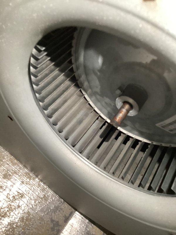 Completed basic monthly cooling maintenance on Carrier HVAC unit. Inspected blower wheel assembly and housing, confirming proper operation with minimal debris accumulation on components. Replaced 20x21x1 air filter, verified system operation, and documented equipment condition with unit showing normal wear for residential cooling system.