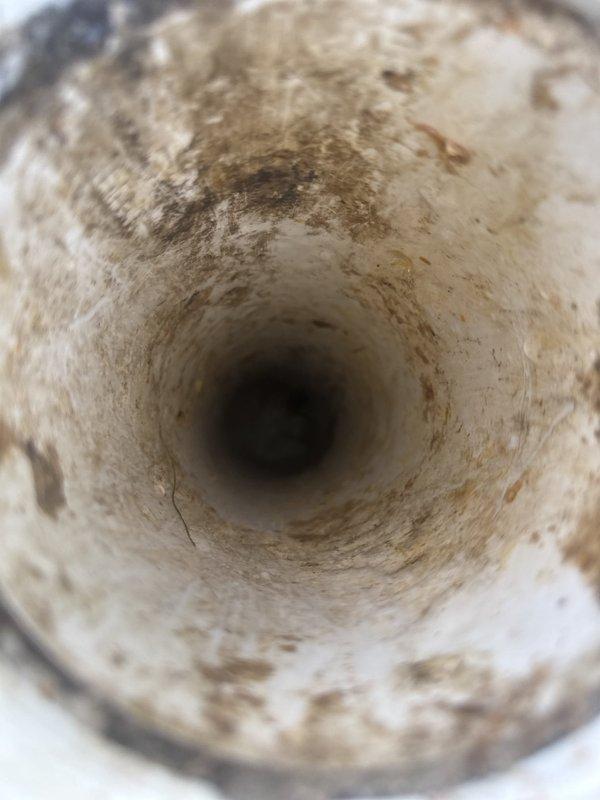 Responded to sewer backup concern and verified scope of previous installation work. Conducted camera inspection of sewer line from cleanout to verify extent of pipe replacement. Documentation confirmed line was replaced from building connection to street main, not terminating at sidewalk as reported. Interior pipe inspection showed clean, new PVC construction with no obstructions or buildup throughout entire run. Exterior cleanout access point verified at property line with proper connection to municipal system. Communicated findings regarding complete installation scope and addressed discrepancy between tenant observation and actual work performed.