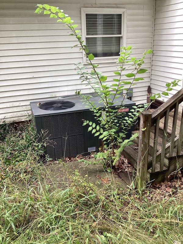 Responded to no-heat call on 3-year-old heat pump system located in utility closet. Upon arrival, found outdoor condenser unit heavily obstructed by overgrown vegetation and debris accumulation around unit and refrigerant line penetrations. Cleared vegetation from around equipment, cleaned debris from condenser coils and line set connections, and restored proper airflow clearance. Cycled system successfully and verified normal operation with proper heating output.