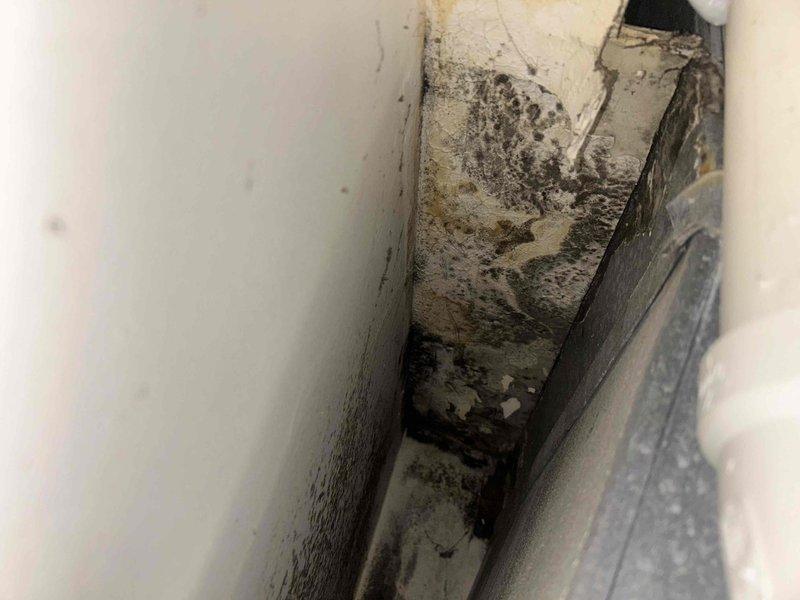 Responded to service call for recently installed air conditioning unit experiencing operational issues. Upon inspection, discovered significant moisture infiltration in wall cavity near HVAC system resulting in extensive mold growth and water damage to interior surfaces. Identified condensate drainage concerns with PVC drain lines and noted oxidized copper refrigerant lines with inadequate insulation contributing to condensation problems. Documented existing plumbing infrastructure conditions and moisture damage patterns for remediation recommendations.