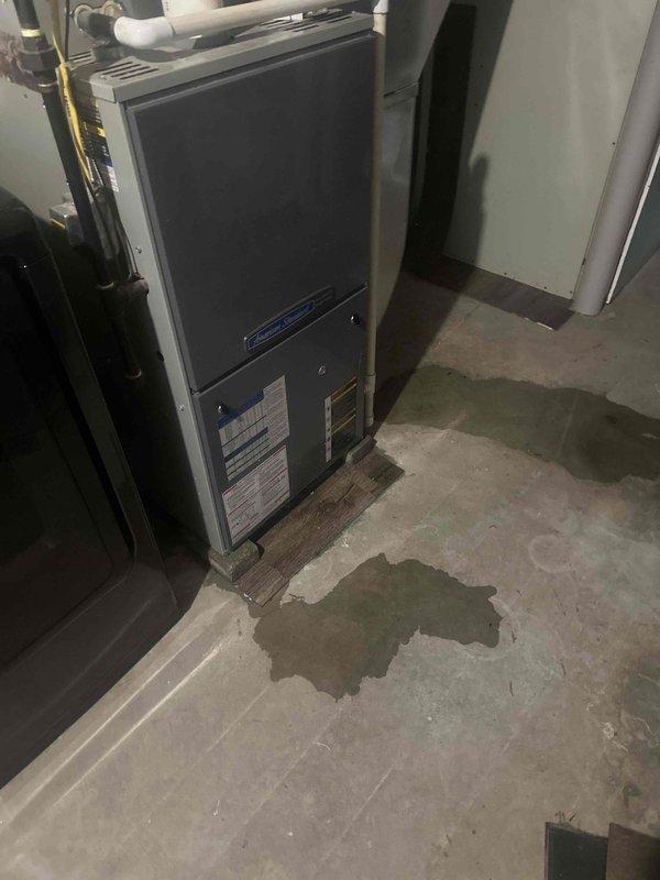 Responded to water leak in basement utility area. Upon arrival, found significant moisture staining on concrete floor surrounding HVAC furnace unit, with dark gray to greenish discoloration indicating ongoing water intrusion. Inspected furnace, water heater, and associated plumbing connections to identify source of leak. Examined white PVC condensate drainage lines connected to furnace system, as these are common sources of basement water issues. Checked all visible pipe connections, joints, and drainage pathways for signs of active leaking or improper drainage. Documented conditions with photographs showing extent of floor moisture damage and equipment setup. Assessed water heater connections and surrounding plumbing infrastructure for potential leak sources. Verified proper operation of condensate pump and drainage system. Completed inspection of mechanical room to ensure no additional water damage to equipment or structural components.