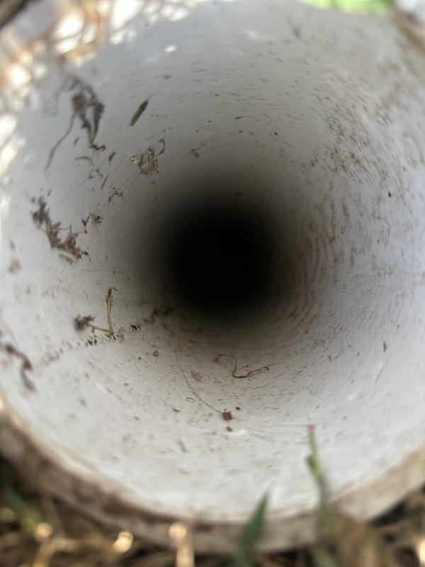 Responded to complaint of gurgling in bathroom sink and shower when toilet is flushed. Inspected main bathroom plumbing system and identified drainage ventilation issue. Located and examined roof vent pipe serving the bathroom plumbing fixtures. Found vent pipe partially obstructed with debris, organic matter, and accumulated dirt on interior walls, restricting proper air flow. Documented condition of vent pipe interior showing staining, contamination, and blockage contributing to negative pressure in drain system. The restricted vent was causing improper drainage venting, resulting in air being pulled through sink and shower drain traps when toilet discharged, creating the reported gurgling sounds. Photographed vent pipe condition for service records.