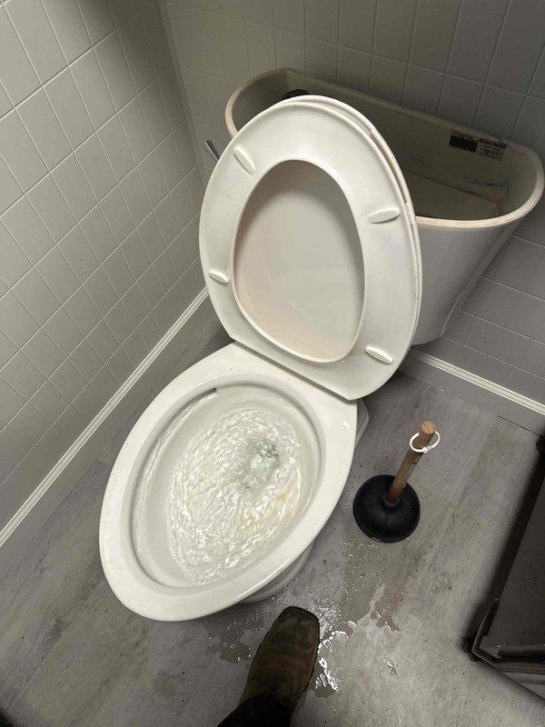 Responded to a service call for two clogged toilets backing up into the shower, indicating a blockage in the main drain line. Plunged both toilets to clear the obstruction, restoring proper flow and confirming normal flushing with no further backup into the shower.