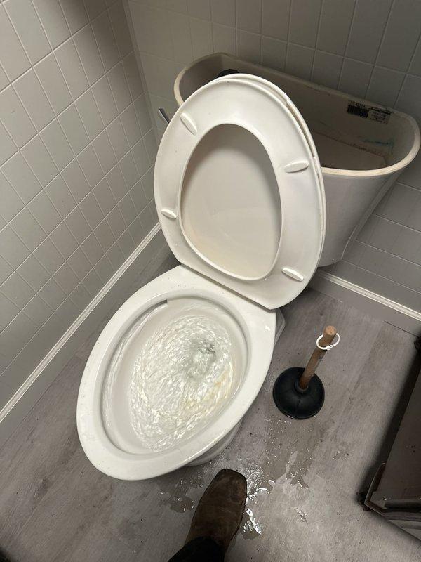 Responded to a service call for two clogged toilets backing up into the shower, indicating a blockage in the main drain line. Plunged both toilets to clear the obstruction, restoring proper flow and confirming normal flushing with no further backup into the shower.