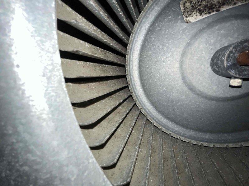 Performed seasonal heating maintenance inspection and system check. Inspected the blower assembly and found the squirrel-cage wheel coated with dust and lint buildup, with surface corrosion noted on the motor shaft and set screw and minor rust on one blade. Recommend blower wheel cleaning and monitoring of the corroded shaft hardware, and note that the 20x20x4 filter was not included in this visit.