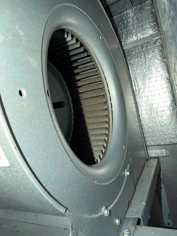 Performed seasonal heating maintenance on the HVAC system, inspecting the air handler and condensing unit components and removing accumulated dust and debris from the blower wheel and housing. Inspected the run capacitor and surrounding wiring, noting corrosion and debris at the terminals and cobweb buildup within the cabinet, and cleared the debris. Filter replacement was not included in this visit.