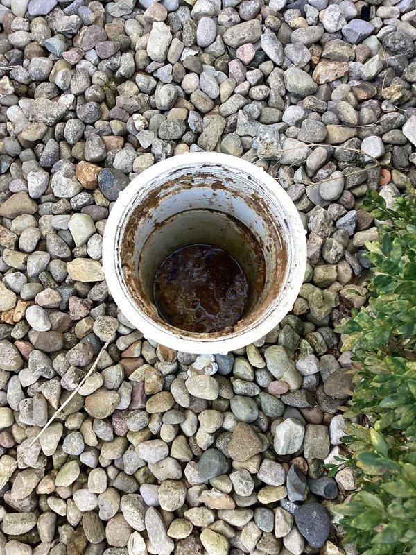 Responded to a flooding downstairs toilet and located the exterior main sewer cleanout, where the open standpipe showed heavy staining and standing sewage, indicating a main drain blockage. Accessed the cleanout to relieve the obstruction and restore proper drainage flow, eliminating the backup at the fixture.