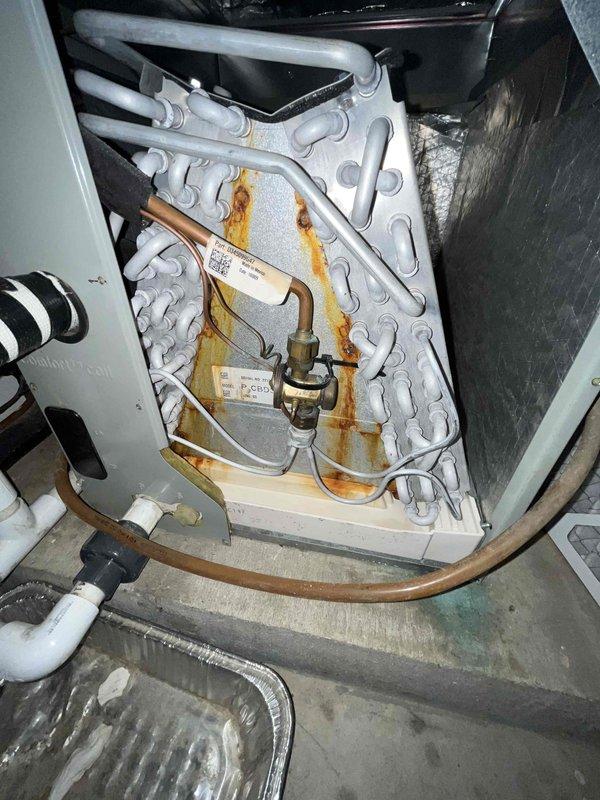 Performed a monthly heating maintenance visit on the Trane KX95 gas furnace, including removal and inspection of the 16x20x1 return air filter and a general system check in the equipment closet. Inspected the air handler's A-coil and found notable rust staining along the coil face, with corrosion and discoloration on the cabinet floor near the condensate piping and refrigerant lines, indicating possible moisture or leakage issues. Recommend further evaluation of the evaporator coil and condensate drainage to prevent further deterioration.