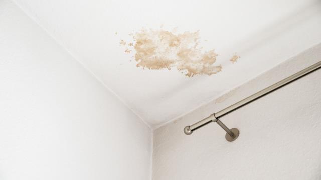 Water damage can spread quickly and lead to costly repairs. As your Water Damage Claims Adjuster, we thoroughly inspect the damage, document every detail, and handle the entire claims process for you. Whether it’s from leaks, burst pipes, or flooding, we fight to get you the full compensation you deserve—so you can restore your property without delay. Water damage can spread quickly and lead to costly repairs. As your Water Damage Claims Adjuster, we thoroughly inspect the damage, document every detail, and handle the entire claims process for you. Whether it’s from leaks, burst pipes, or flooding, we fight to get you the full compensation you deserve—so you can restore your property without delay.