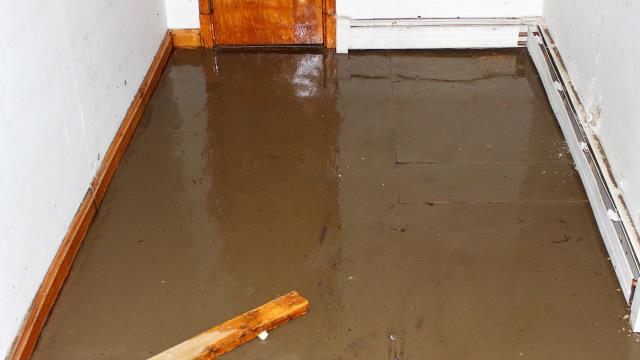 If your property has water damage, don’t delay—file your claim promptly and document all visible damage. Early action is key to protecting your rights and speeding up the process. It's also essential to contact a public adjuster right away. We help ensure your damage is thoroughly assessed, your claim is properly prepared, and you’re not leaving money on the table. The sooner we get involved, the better we can advocate for a full and fair settlement. If your property has water damage, don’t delay—file your claim promptly and document all visible damage. Early action is key to protecting your rights and speeding up the process. It's also essential to contact a public adjuster right away. We help ensure your damage is thoroughly assessed, your claim is properly prepared, and you’re not leaving money on the table. The sooner we get involved, the better we can advocate for a full and fair settlement.