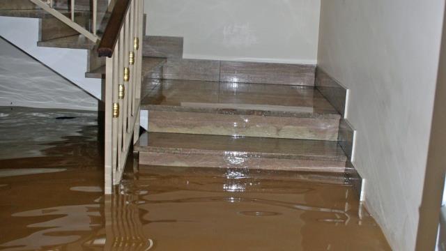 Flood damage can impact everything—from your home’s structure to your personal belongings. Filing a claim can be complex, especially when policies have specific limitations or exclusions. That’s why it’s important to have someone in your corner who understands the process. Our experienced flood damage adjusters work with you to evaluate the damage, interpret your coverage, and help ensure your claim is accurately documented and submitted. Let us assist you every step of the way—contact us today for a flood claim review.
Flood damage can impact everything—from your home’s structure to your personal belongings. Filing a claim can be complex, especially when policies have specific limitations or exclusions. That’s why it’s important to have someone in your corner who understands the process. Our experienced flood damage adjusters work with you to evaluate the damage, interpret your coverage, and help ensure your claim is accurately documented and submitted. Let us assist you every step of the way—contact us today for a flood claim review.