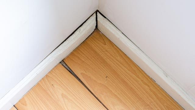 Flooring damage can be both expensive and disruptive, whether it's due to water, fire, or other unforeseen accidents. The process of filing an insurance claim for flooring damage can often feel overwhelming, especially when you're already dealing with the impact of the loss. Our Flooring Damage Public Adjusting service is here to help you navigate the complexities, ensuring you receive the compensation you're entitled to. Let us take the burden off your shoulders and handle the insurance details for you. Reach out today for a free consultation, and let us help you get back on track.