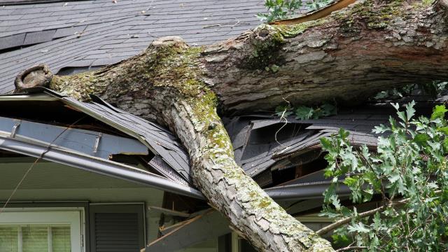 Handling hurricane damage insurance claims requires expertise, persistence, and someone who is fully on your side. Our public adjusters step in to manage the entire process for you—assessing every detail of the damage, documenting both visible and hidden losses, and negotiating directly with your insurance company. With our experience in large and complex claims, you can trust that nothing will be overlooked or undervalued. Contact Us! Handling hurricane damage insurance claims requires expertise, persistence, and someone who is fully on your side. Our public adjusters step in to manage the entire process for you—assessing every detail of the damage, documenting both visible and hidden losses, and negotiating directly with your insurance company. With our experience in large and complex claims, you can trust that nothing will be overlooked or undervalued. Contact Us!