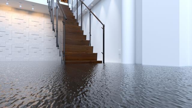 Flood damage at your home or business? You don’t have to face the insurance company alone. Our trusted public adjusters are in your corner, fighting to secure the full settlement you deserve. Call today and let us handle your flood damage claim from start to finish. Flood damage at your home or business? You don’t have to face the insurance company alone. Our trusted public adjusters are in your corner, fighting to secure the full settlement you deserve. Call today and let us handle your flood damage claim from start to finish.