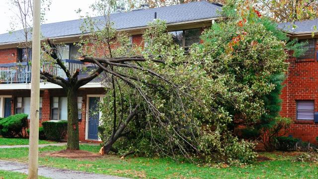 Filing an insurance claim after major hurricane damage can feel like a full-time job. Every loss must be documented in detail, backed with evidence, and presented clearly to your insurance company. On top of that, negotiating a fair settlement requires persistence and expertise. Even a small mistake, missing information, or inaccuracy in your claim can result in a much lower payout than you truly deserve. Call today and let our hurricane claim experts secure the settlement you need to rebuild with confidence Filing an insurance claim after major hurricane damage can feel like a full-time job. Every loss must be documented in detail, backed with evidence, and presented clearly to your insurance company. On top of that, negotiating a fair settlement requires persistence and expertise. Even a small mistake, missing information, or inaccuracy in your claim can result in a much lower payout than you truly deserve. Call today and let our hurricane claim experts secure the settlement you need to rebuild with confidence