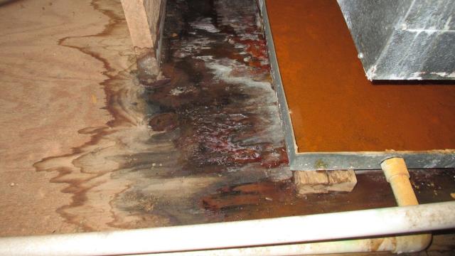 Floor Damage Claim Experts. Whether it's water, fire, or accidental damage, we work as your Public Adjuster to maximize the money you get for your floor replacement or repair. Start Your Claim Assessment Now! Floor Damage Claim Experts. Whether it's water, fire, or accidental damage, we work as your Public Adjuster to maximize the money you get for your floor replacement or repair. Start Your Claim Assessment Now!