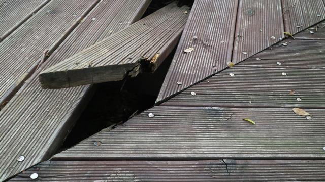 Floor damage can be more serious than it looks—let a floor damage public adjuster protect your claim. Water intrusion, buckling, warping, and hidden moisture beneath the surface can lead to costly repairs that insurance companies often underestimate. Our adjusters assess the full extent of the damage, document everything precisely, and negotiate on your behalf to secure the compensation needed for proper restoration. Don’t risk an undervalued flooring claim—call today and let our expert floor damage public adjusters fight for the settlement you deserve.