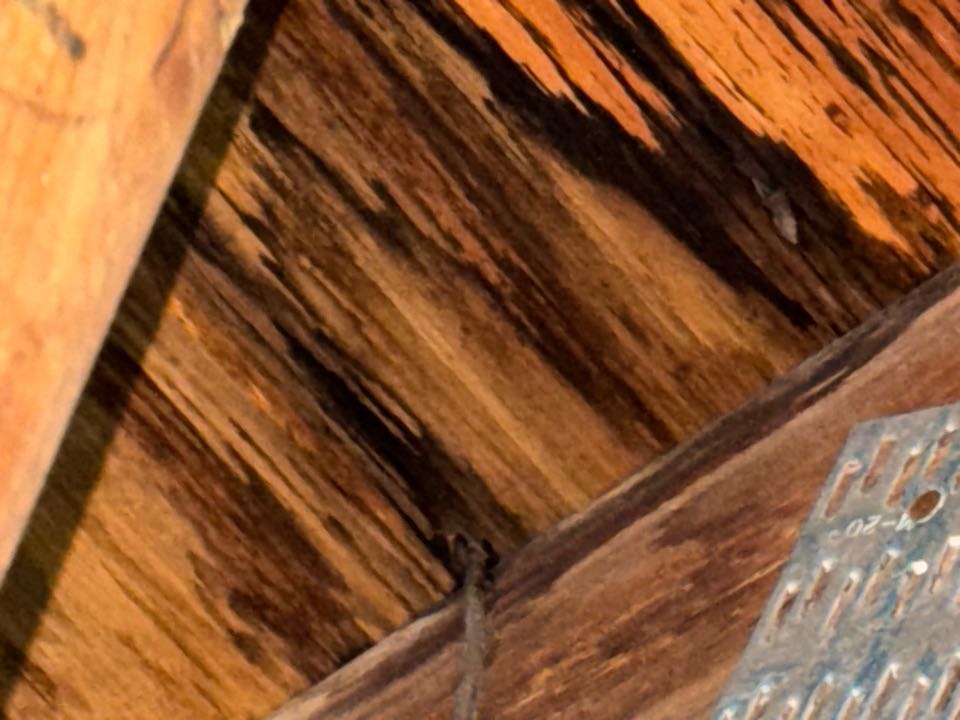 Finished another inspection in Kissimmee, FL as a result of hurricane Milton. As a reminder, home and business owners have 18 months from 10/09/2024 to reopen your hurricane claim before the statute of limitations are reached. If you’ve been underpaid or wrongful denied, then give us a call prior to the deadline for a free no obligation inspection and claim evaluation. 