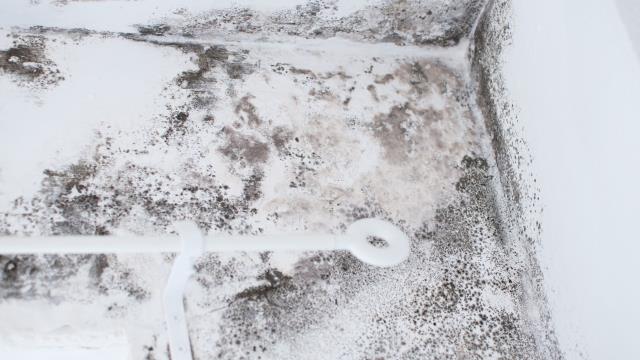 Too often, insurance companies rely on broad or misapplied mold exclusions to delay, reduce, or outright deny valid claims. Our team knows how to challenge these tactics by digging into the policy language and the true cause of the damage—so you’re not left paying for something that should be covered. Contact us today for a free policy review and claim evaluation.