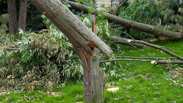 Hidden damage. Confusing paperwork. Delayed payouts. We take over the claim process so homeowners can recover faster and with confidence. Book a FREE storm damage consultation.