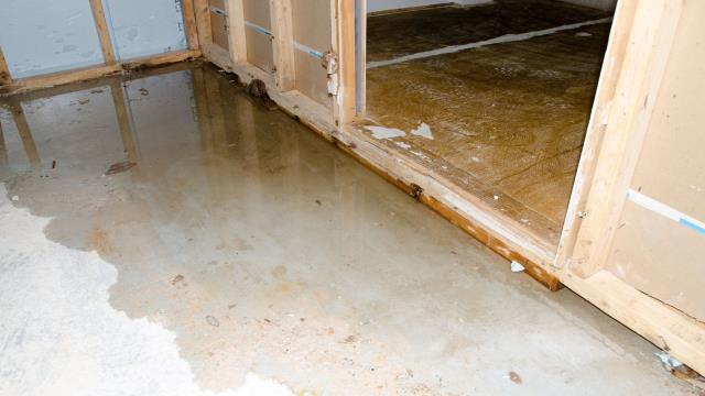 Rapid pipe bursts, roof leaks, and appliance failures can soak walls, floors, and hidden cavities before you even notice. Moisture damage often travels beyond what’s visible. We document every detail and fight to make sure your insurance pays for the true scope of loss. Schedule your FREE water damage claim review today.