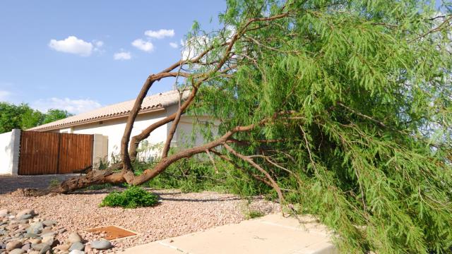 After a hurricane, every detail matters in your insurance claim. Our skilled Hurricane Damage Insurance Claims Adjusters make sure nothing is overlooked so you can recover faster. Contact Us!